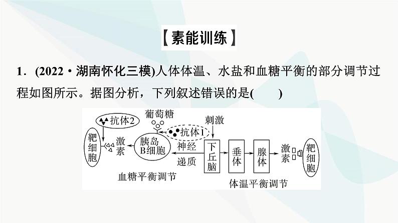 2024届人教版高考生物一轮复习素养加强课9动物生命活动调节模型的建构与分析课件第6页