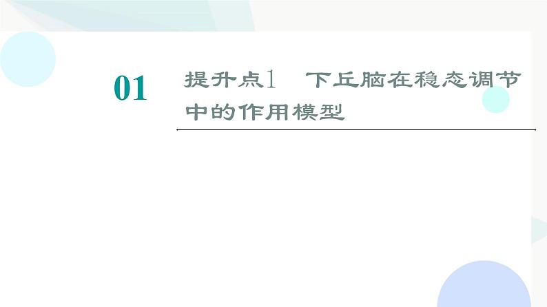 2024届人教版高考生物一轮复习素养加强课9激素调节相关实验探究课件第2页