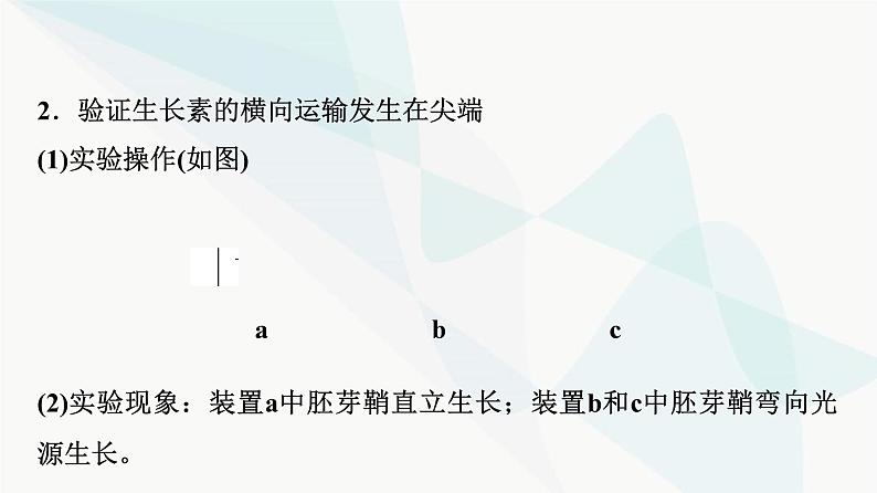 2024届人教版高考生物一轮复习素养加强课10植物激素调节相关实验设计课件104