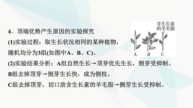 2024届人教版高考生物一轮复习素养加强课10植物激素调节相关实验设计课件106