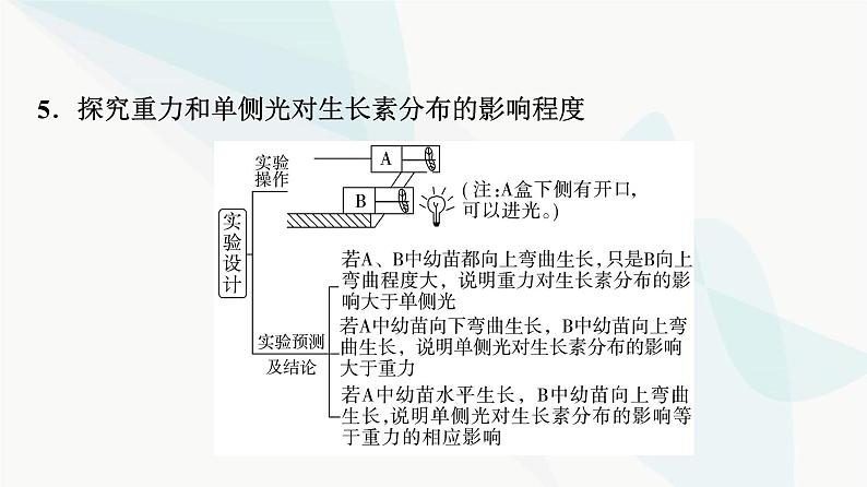 2024届人教版高考生物一轮复习素养加强课10植物激素调节相关实验设计课件107