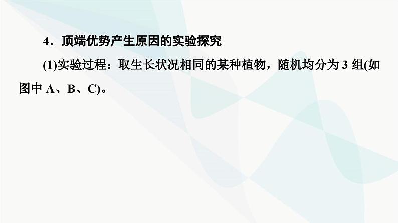 2024届人教版高考生物一轮复习素养加强课10植物激素调节相关实验设计课件2第7页