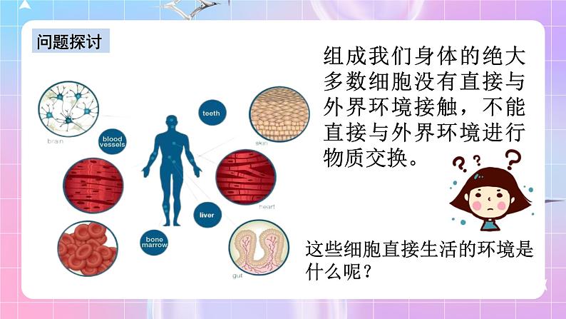 人教版高二生物选择性必修一1.1《细胞生活的环境》课件+练习04