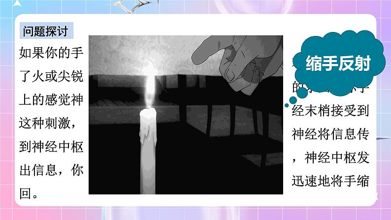 人教版高二生物选择性必修一2.2《神经调节的基本方式》课件+练习04