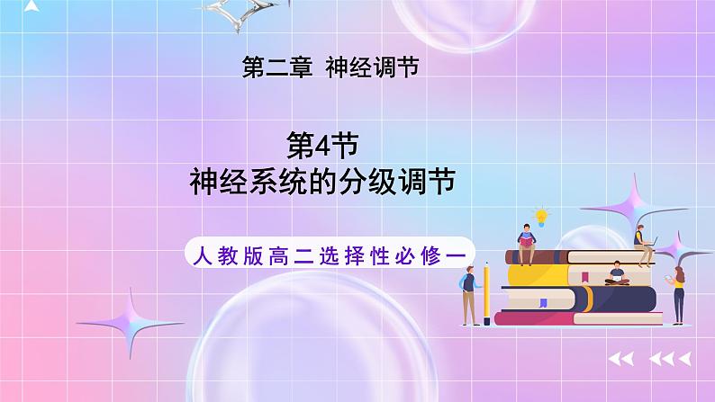 人教版高二生物选择性必修一2.4《神经系统的分级调节》课件第1页