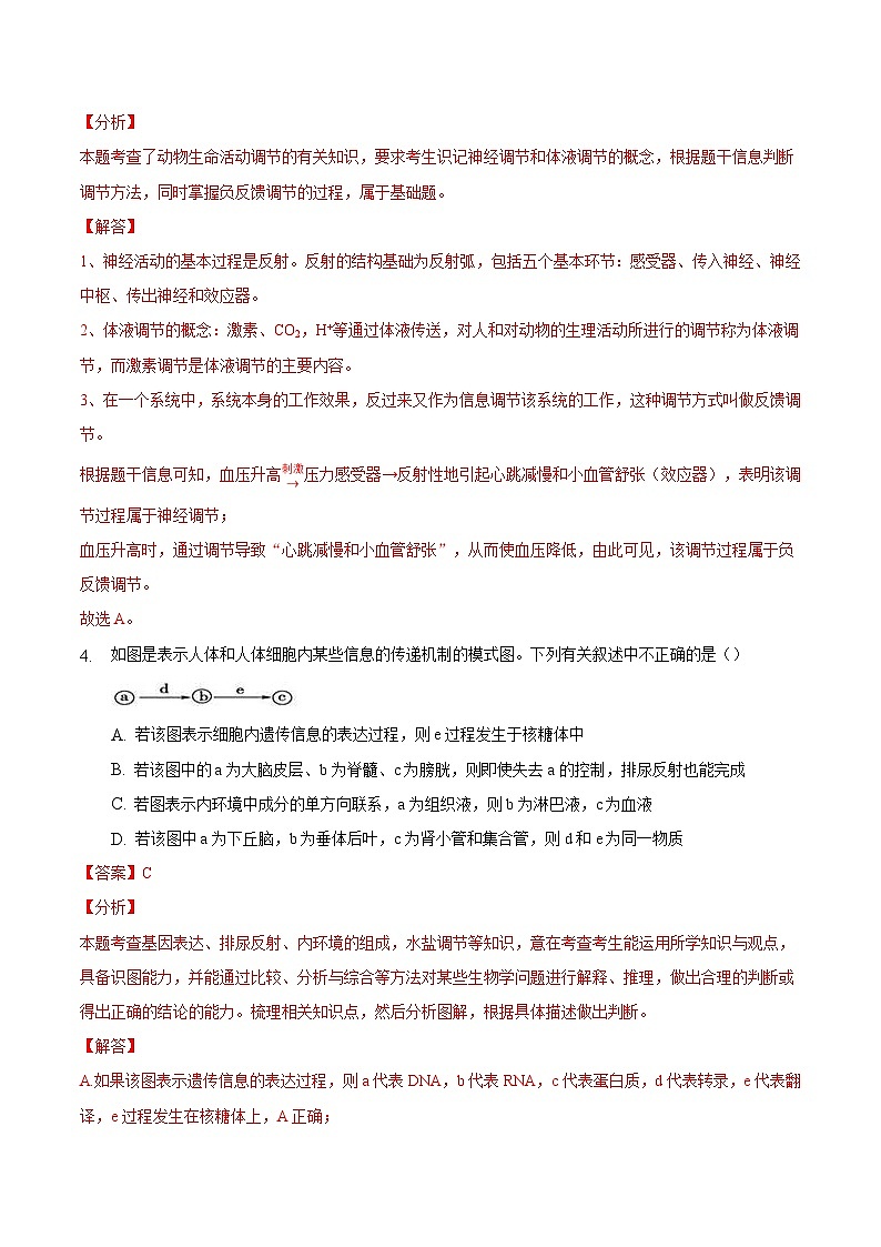 2.4 神经系统的分级调节（备作业）精编高二生物同步备课系列（人教版2019选择性必修1）（解析版）第3页