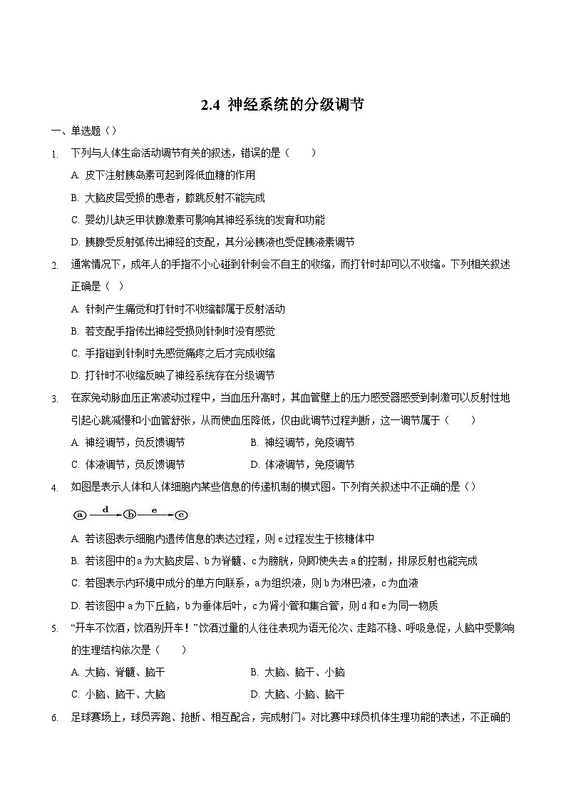 2.4 神经系统的分级调节（备作业）精编高二生物同步备课系列（人教版2019选择性必修1）（原卷版）第1页