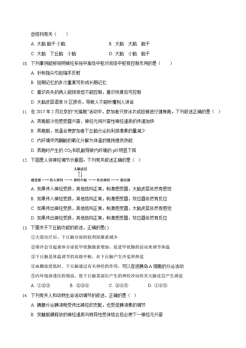 2.4 神经系统的分级调节（备作业）精编高二生物同步备课系列（人教版2019选择性必修1）（原卷版）第3页