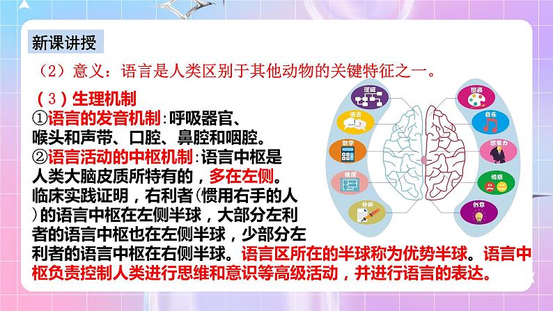 人教版高二生物选择性必修一2.5《人脑的高级功能》课件+练习07