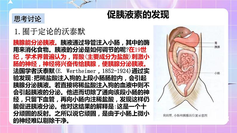 人教版高二生物选择性必修一3.1《激素与内分泌系统》课件+练习07