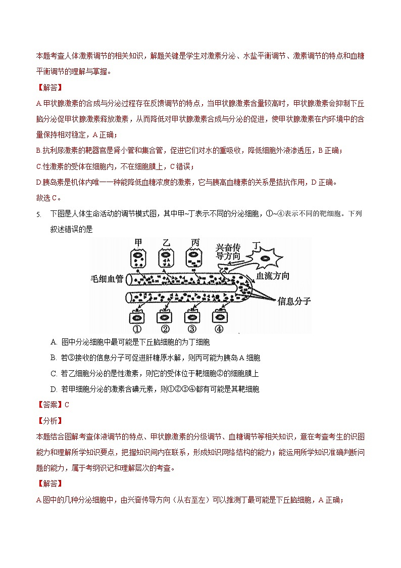 3.2 激素调节的过程（备作业）精编高二生物同步备课系列（人教版2019选择性必修1）（解析版）第3页