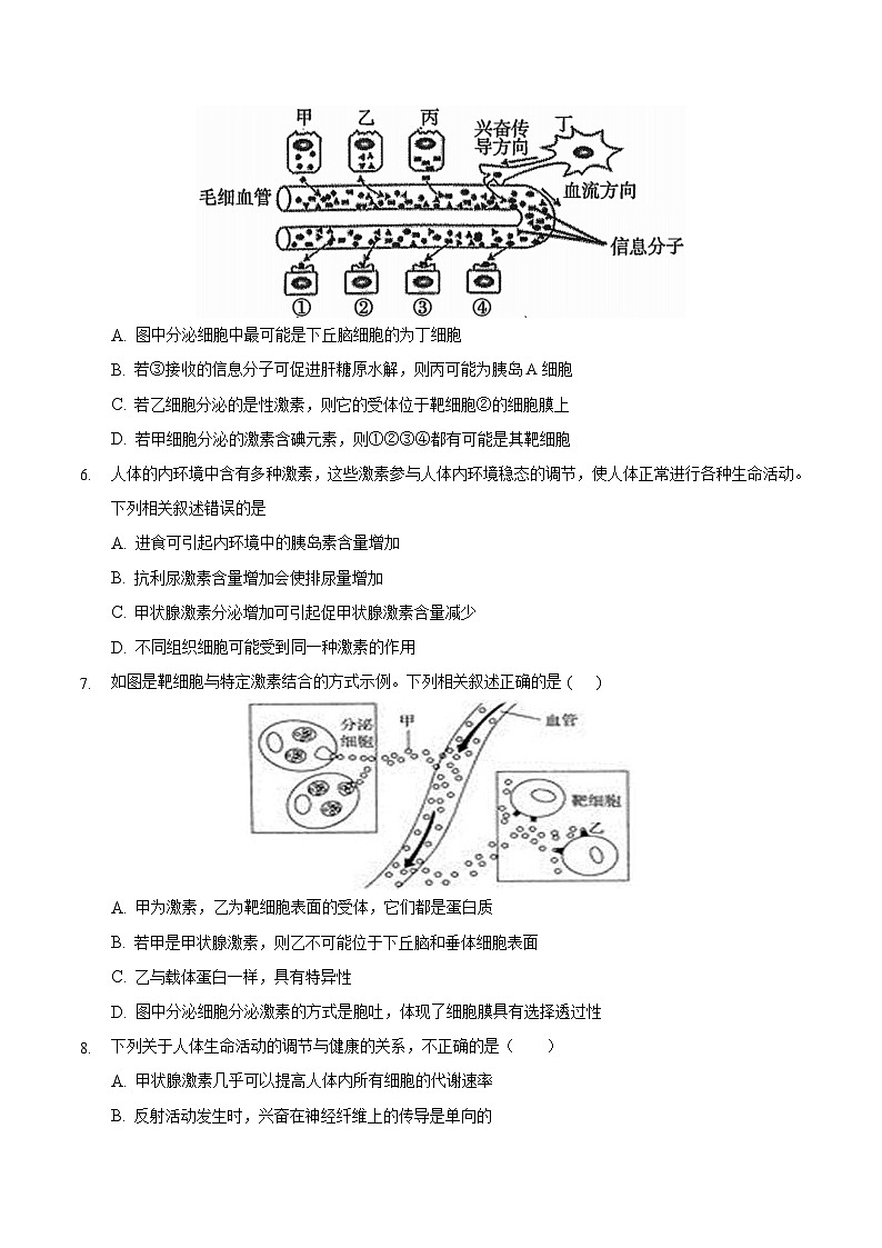 3.2 激素调节的过程（备作业）精编高二生物同步备课系列（人教版2019选择性必修1）（原卷版）第2页