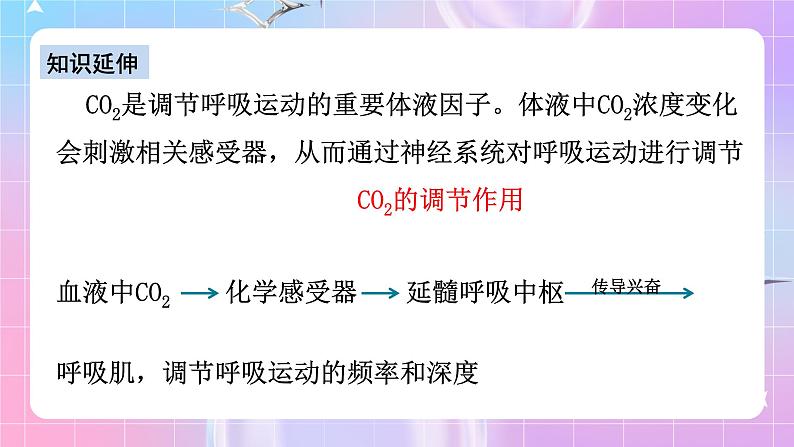 人教版高二生物选择性必修一3.3《体液调节与神经调节的关系》课件+练习07