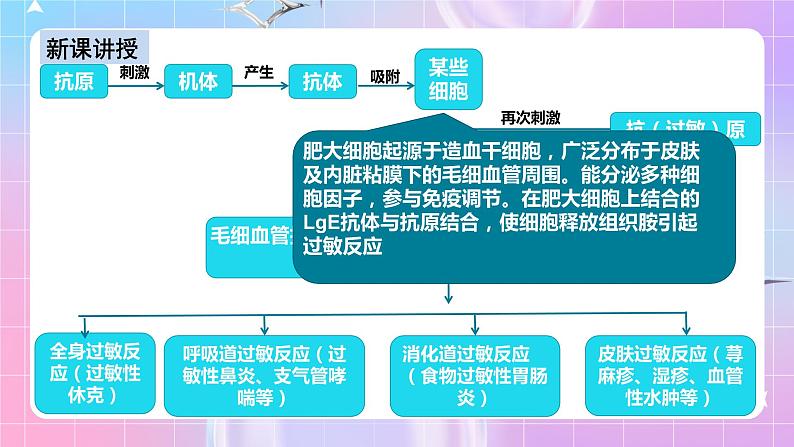 人教版高二生物选择性必修一4.3《免疫失调》课件+练习08