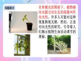 人教版高二生物选择性必修一5.1《植物生长素》课件+练习