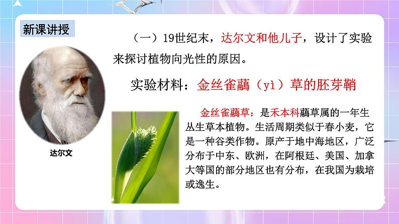 人教版高二生物选择性必修一5.1《植物生长素》课件+练习06