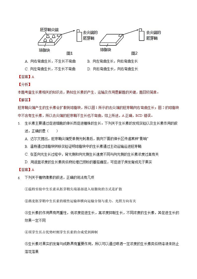人教版高二生物选择性必修一5.1《植物生长素》课件+练习03