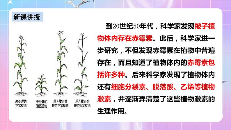 人教版高二生物选择性必修一5.2《其他植物激素》课件+练习07