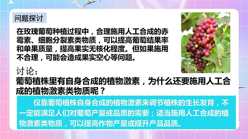 人教版高二生物选择性必修一5.3《植物生长调节剂的应用》课件+练习03