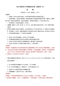 【新高三摸底】2024届新高三-生物开学摸底考试卷（全国通用，新教材）01