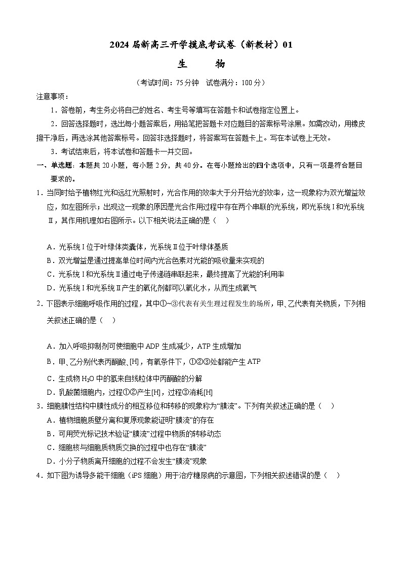 【新高三摸底】2024届新高三-生物开学摸底考试卷（新教材专用）01（考试版）第1页