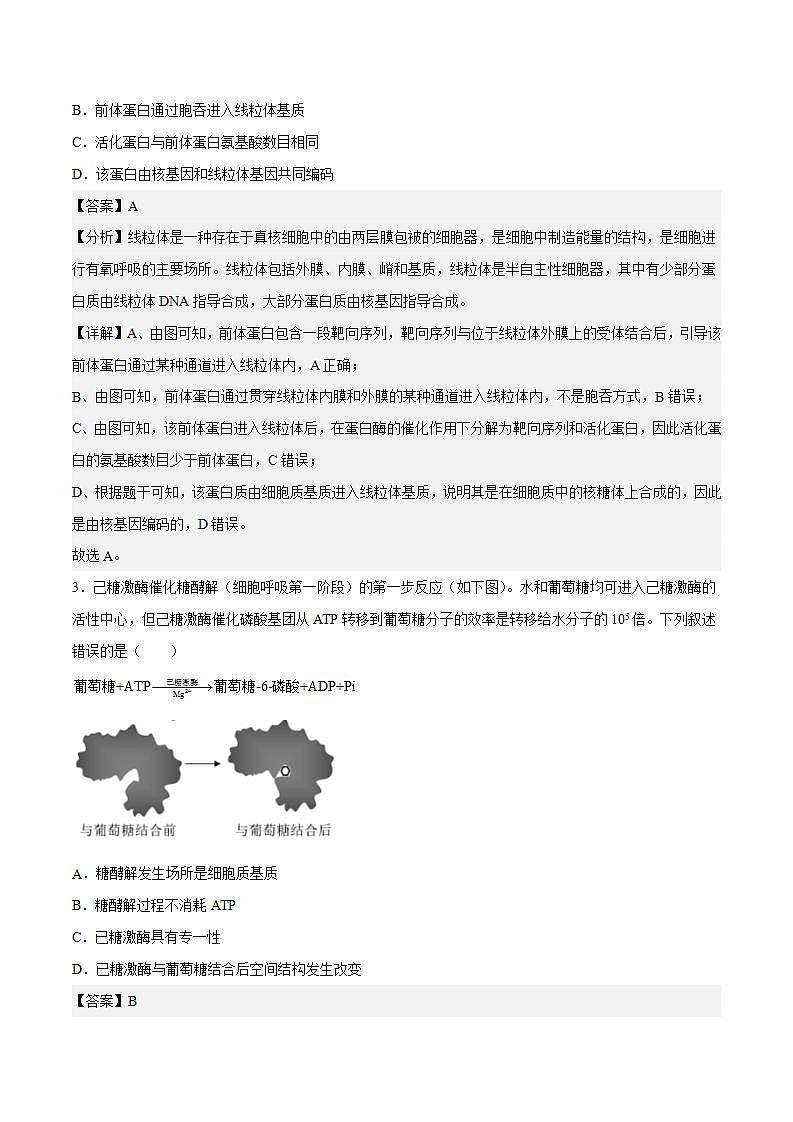 【新高三摸底】2024届新高三-生物开学摸底考试卷（北京卷）02