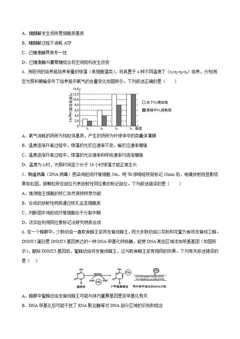 【新高三摸底】2024届新高三-生物开学摸底考试卷（北京卷）02