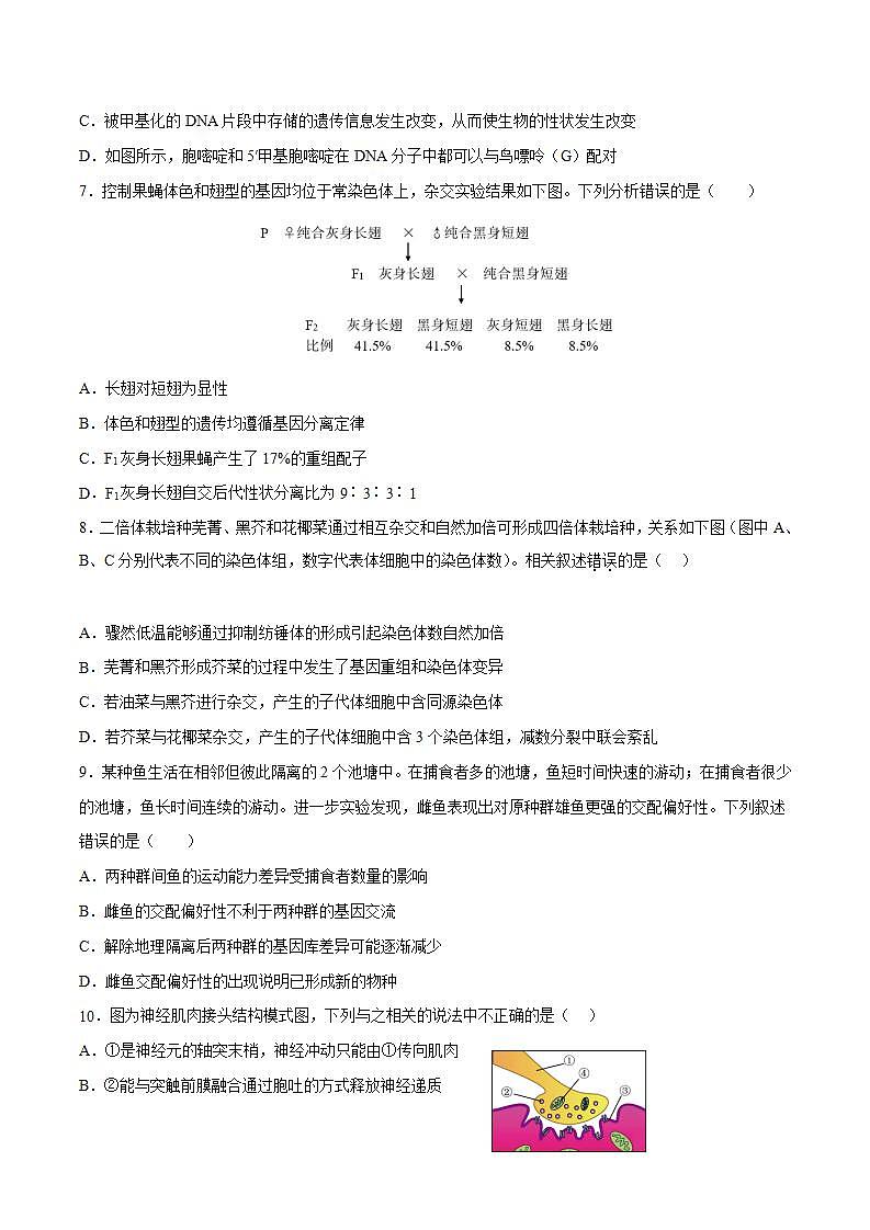 【新高三摸底】2024届新高三-生物开学摸底考试卷（北京卷）03