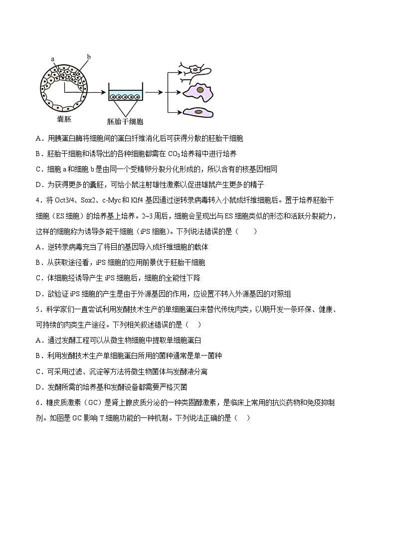 【新高三摸底】2024届新高三-生物开学摸底考试卷（天津卷）02