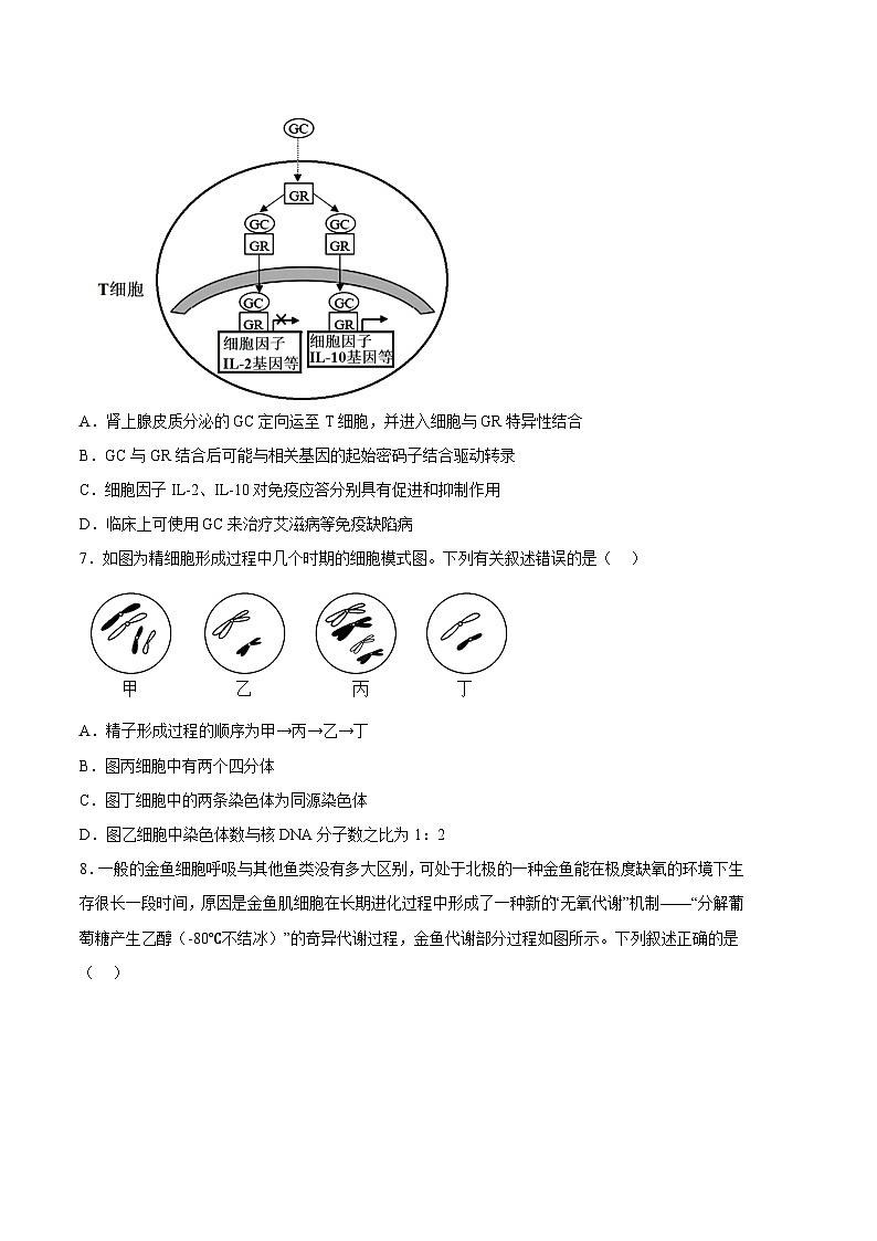 【新高三摸底】2024届新高三-生物开学摸底考试卷（天津卷）03