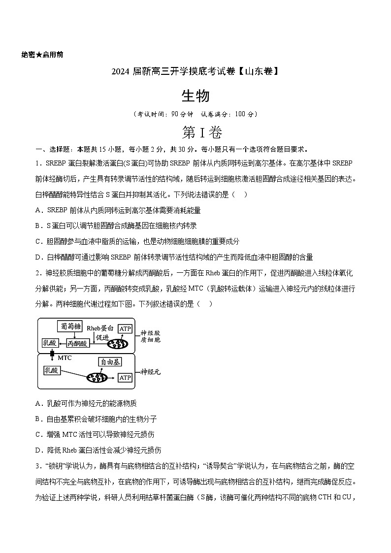 【新高三摸底】2024届新高三-生物开学摸底考试卷（山东卷）01
