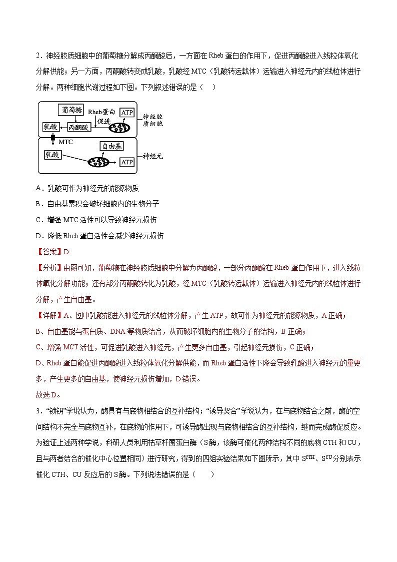 【新高三摸底】2024届新高三-生物开学摸底考试卷（山东卷）02