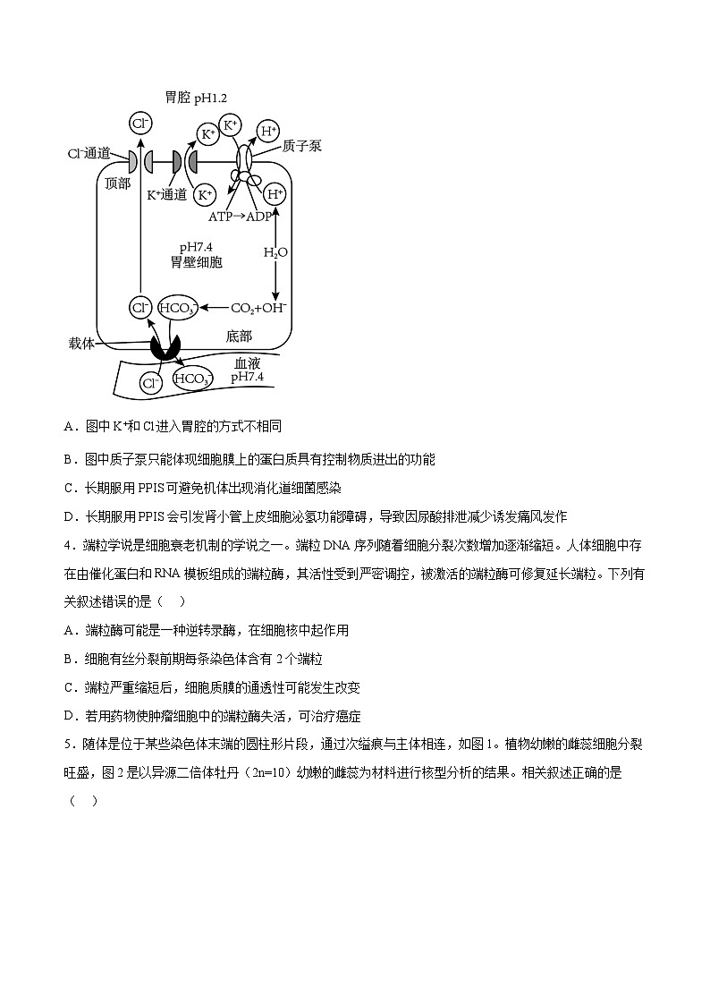 【新高三摸底】2024届新高三-生物开学摸底考试卷（江苏卷）02