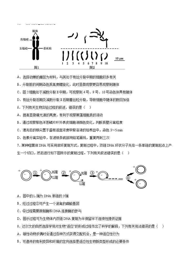 【新高三摸底】2024届新高三-生物开学摸底考试卷（江苏卷）03