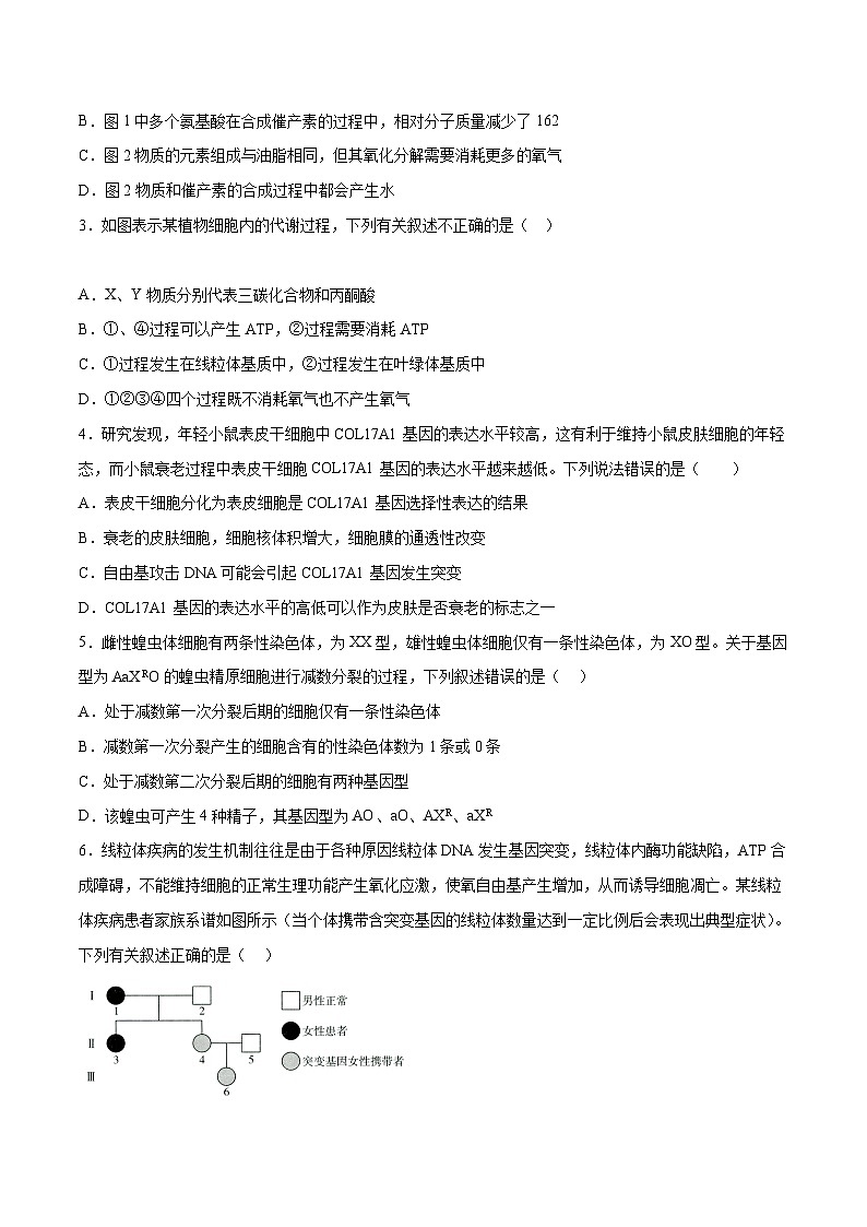 【新高三摸底】2024届新高三-生物开学摸底考试卷（辽宁卷）02