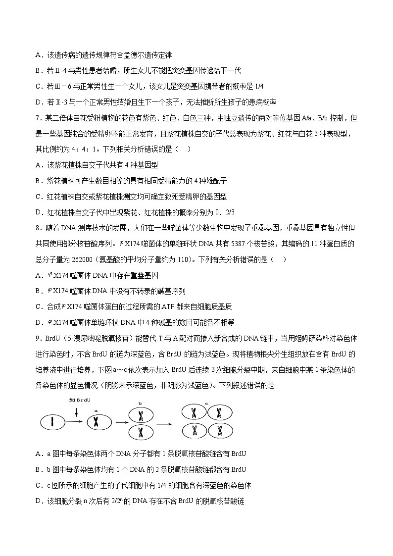 【新高三摸底】2024届新高三-生物开学摸底考试卷（辽宁卷）03