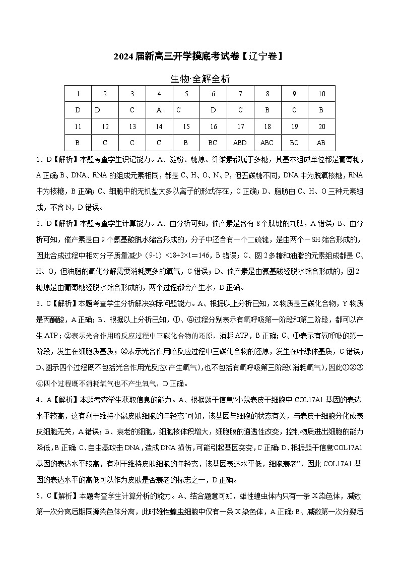 【新高三摸底】2024届新高三-生物开学摸底考试卷（辽宁卷）01