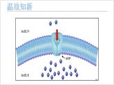 人教版2019必修一高中生物学5.2《细胞的能量“货币”ATP》课件+同步分层练习