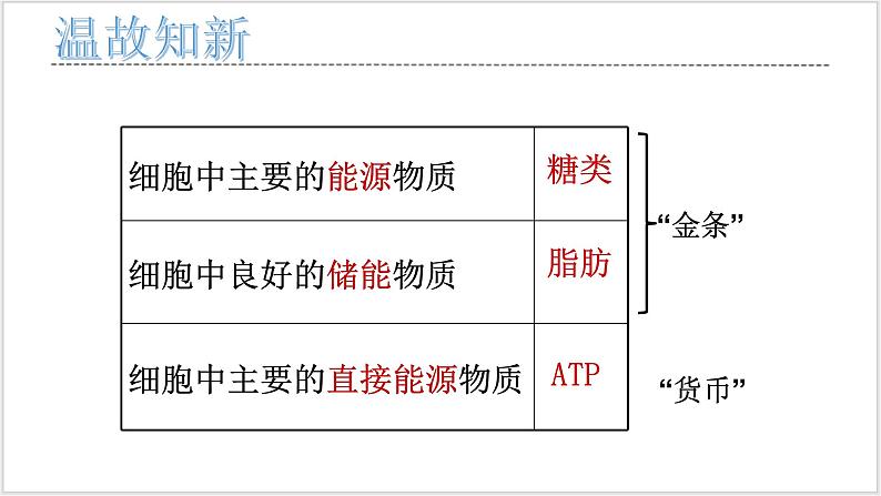 5.2 《细胞的能量“货币”ATP》第6页