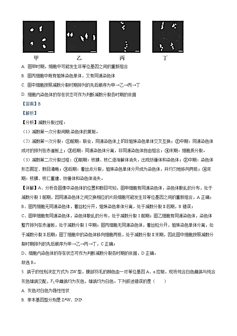 精品解析：山东省聊城市2022-2023学年高一下学期期末生物试题（解析版）03