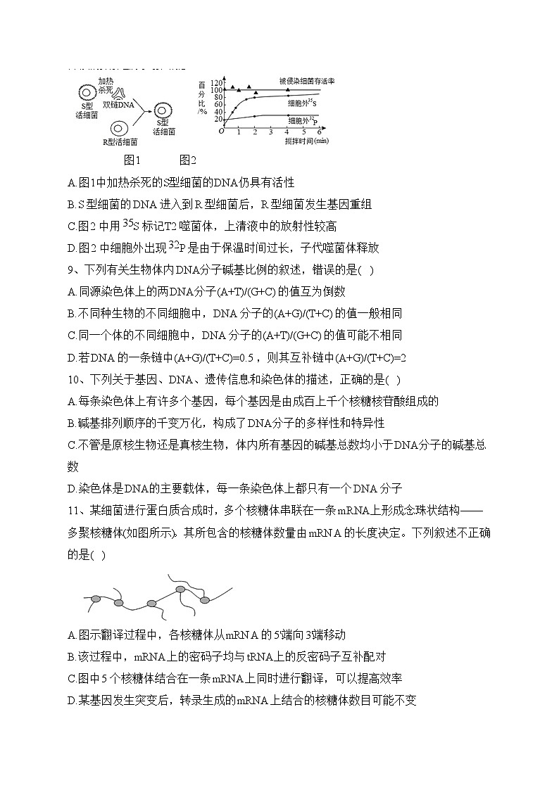 四川省绵阳南山中学2022-2023学年高一下学期期末热身考试生物试卷（含答案）03