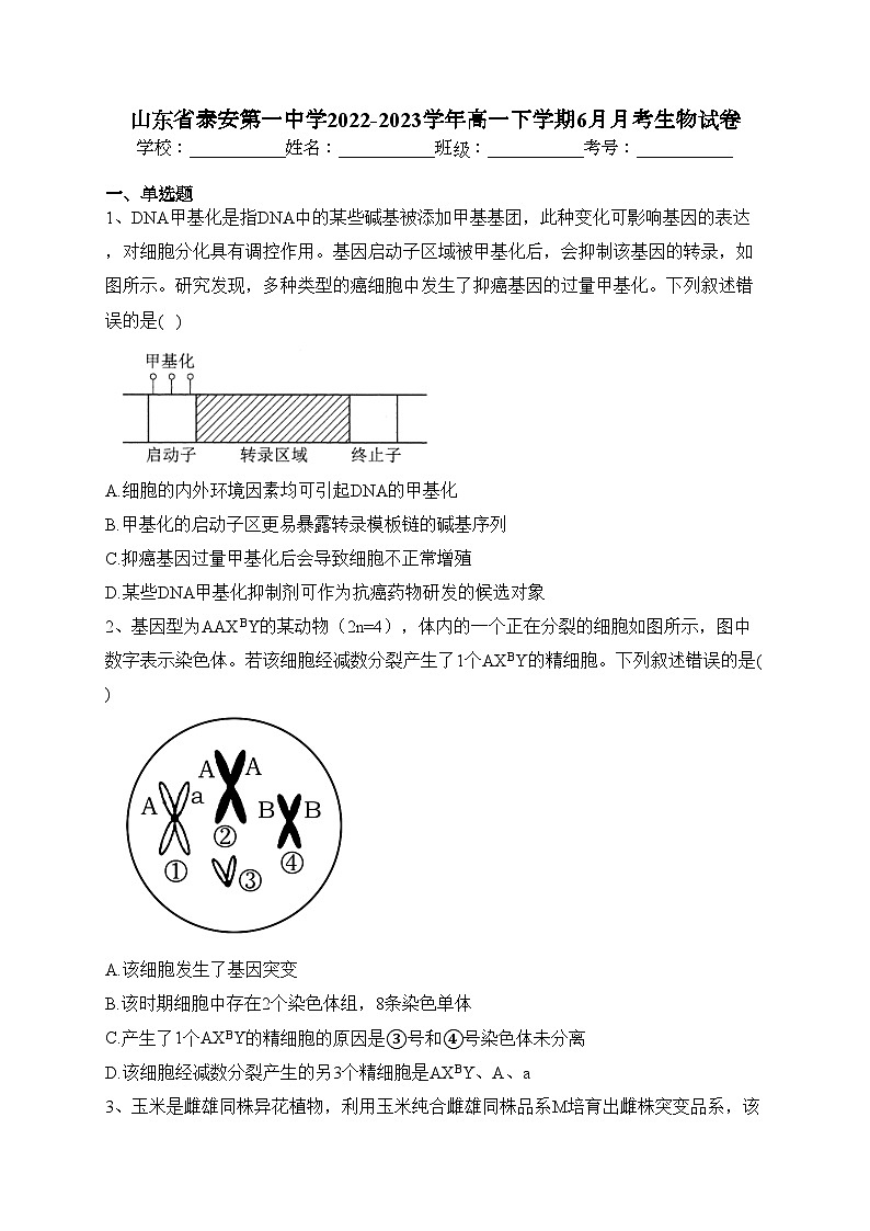 山东省泰安第一中学2022-2023学年高一下学期6月月考生物试卷（含答案）第1页