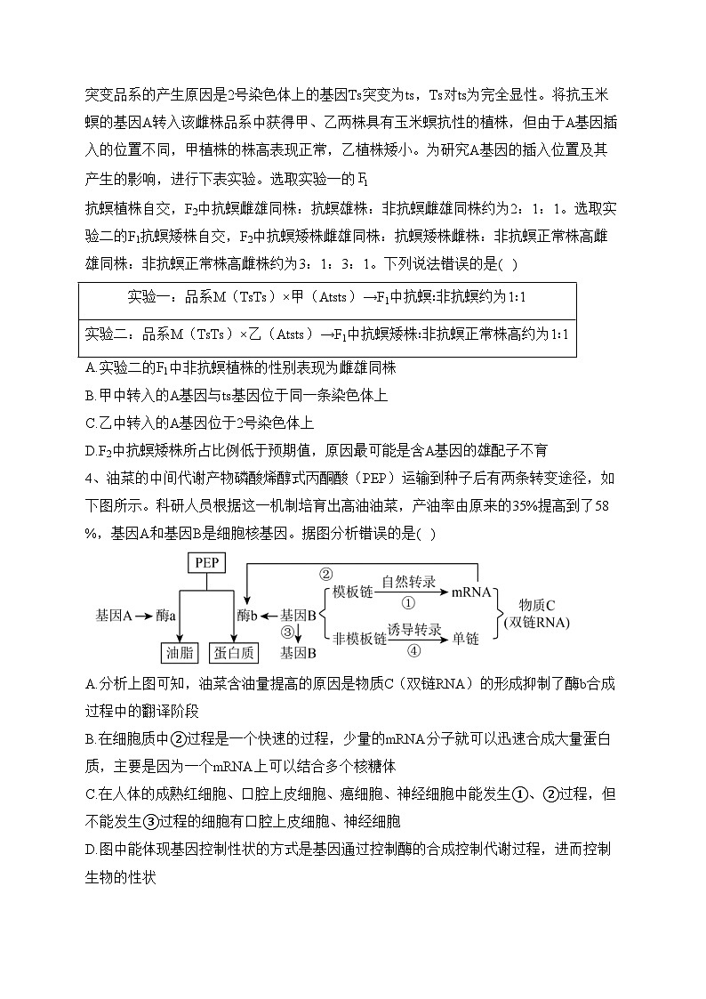 山东省泰安第一中学2022-2023学年高一下学期6月月考生物试卷（含答案）第2页