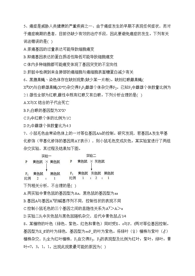 山东省泰安第一中学2022-2023学年高一下学期6月月考生物试卷（含答案）第3页