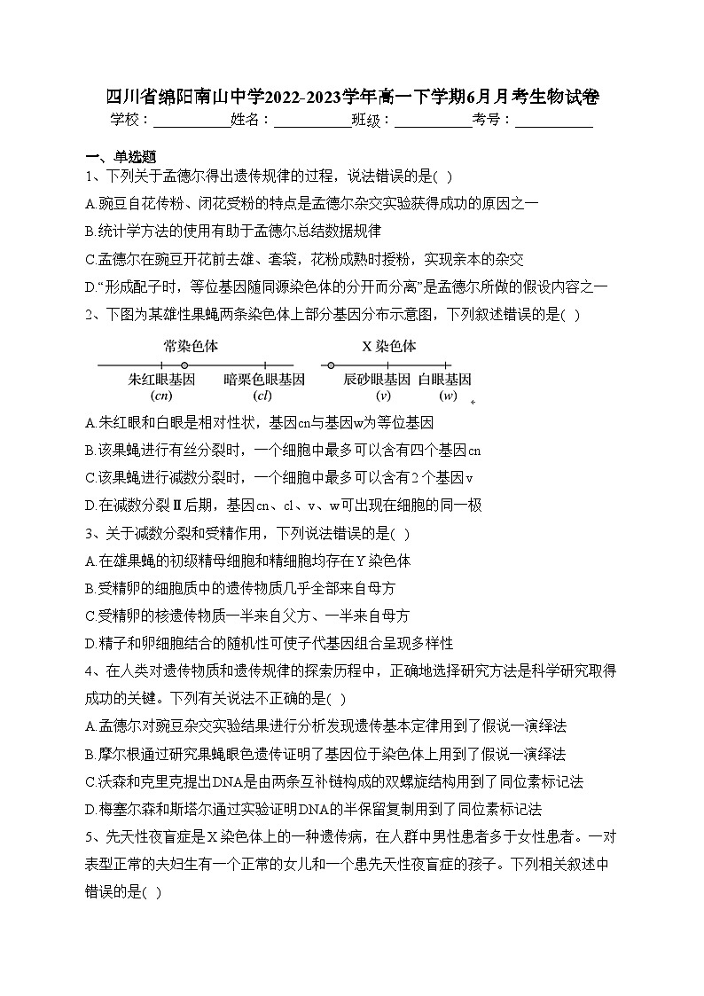 四川省绵阳南山中学2022-2023学年高一下学期6月月考生物试卷（含答案）01