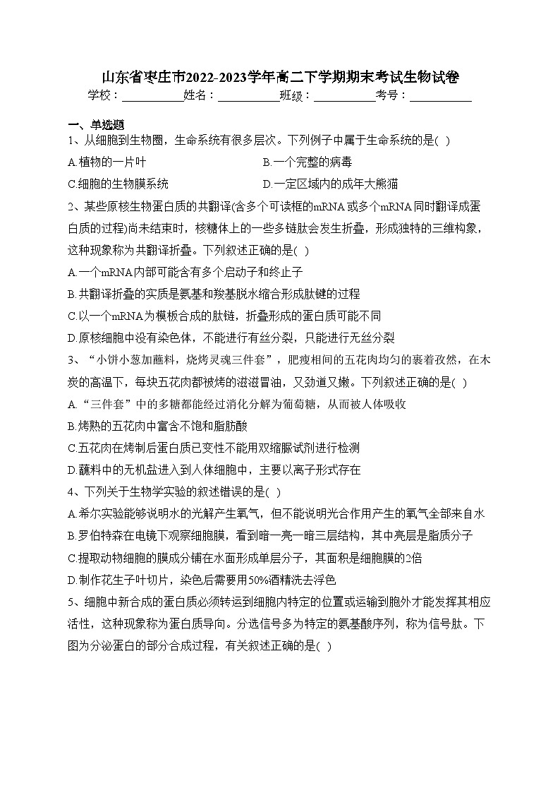 山东省枣庄市2022-2023学年高二下学期期末考试生物试卷（含答案）01
