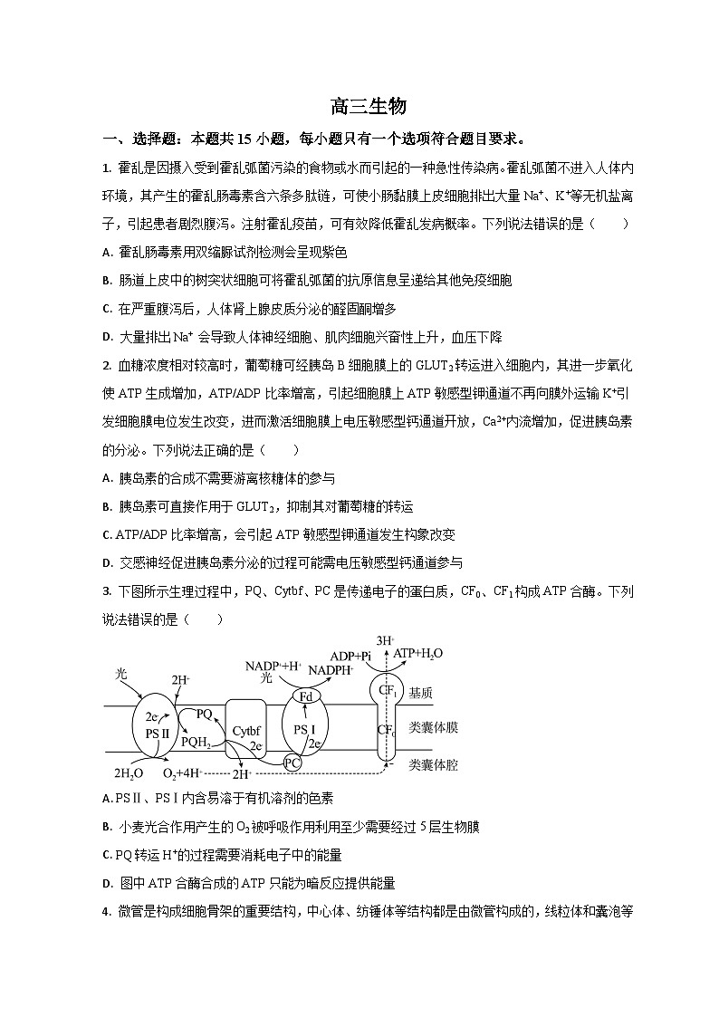 2023潍坊高三上学期期末生物试题含解析01