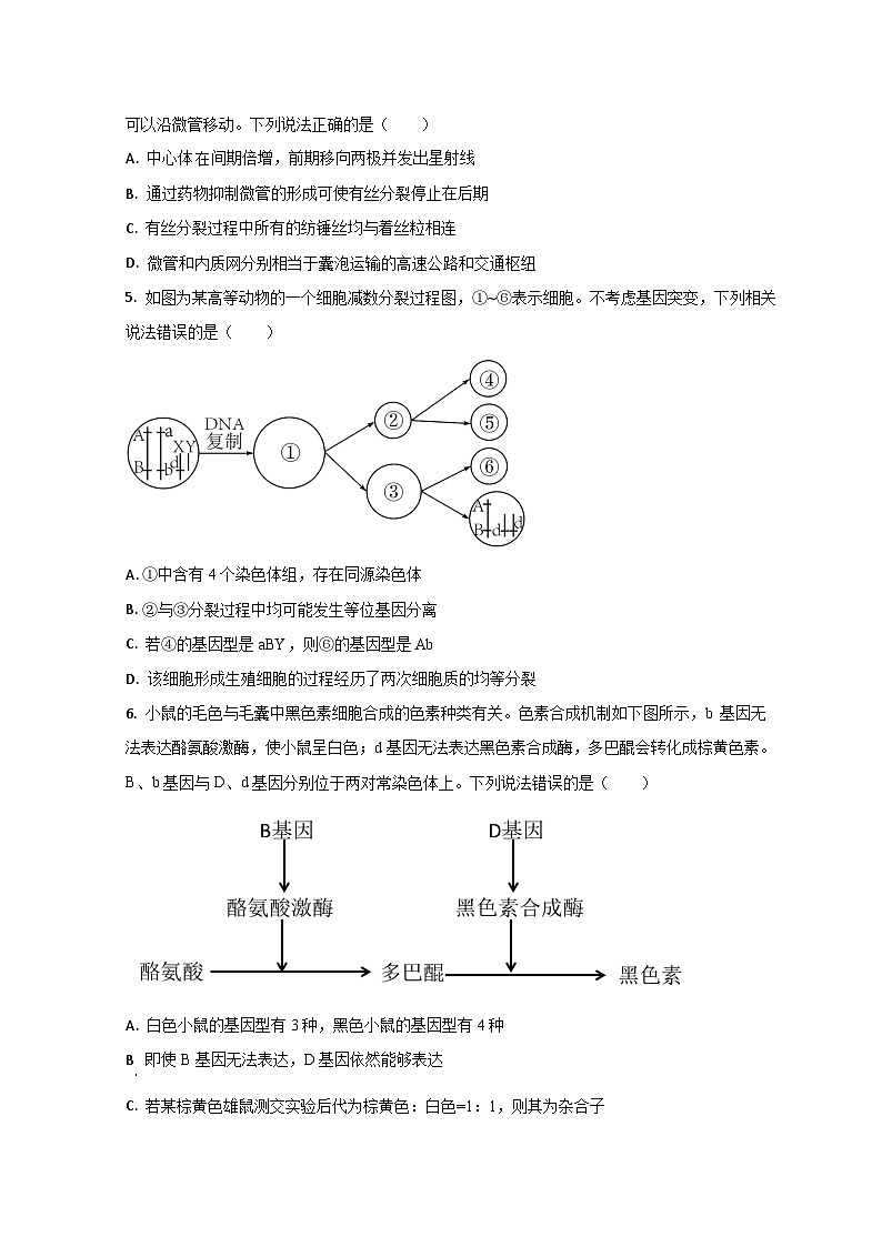 2023潍坊高三上学期期末生物试题含解析02