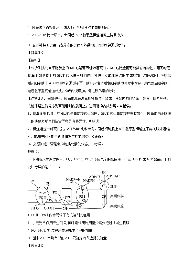 2023潍坊高三上学期期末生物试题含解析02