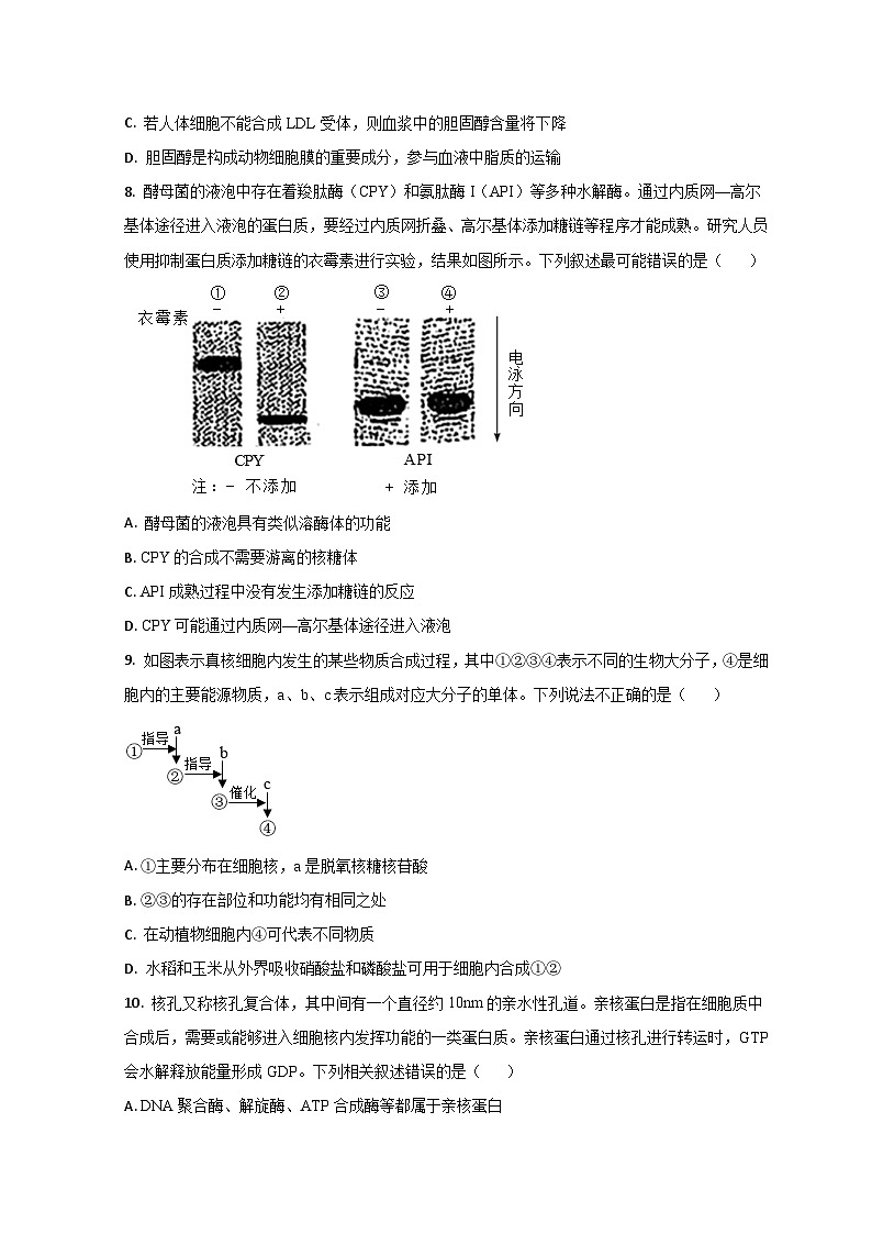 山东省德州市第一中学2022-2023学年高二下学期6月月考生物试题第3页